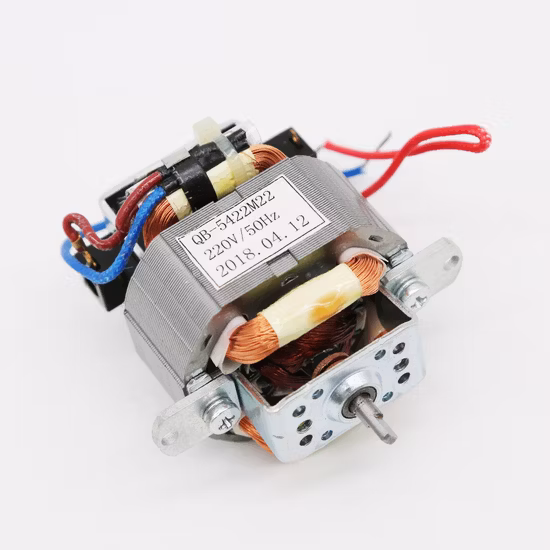 220V High Speed and High Efficiency Brushless DC Motor for Hair Dryer BLDC Motor